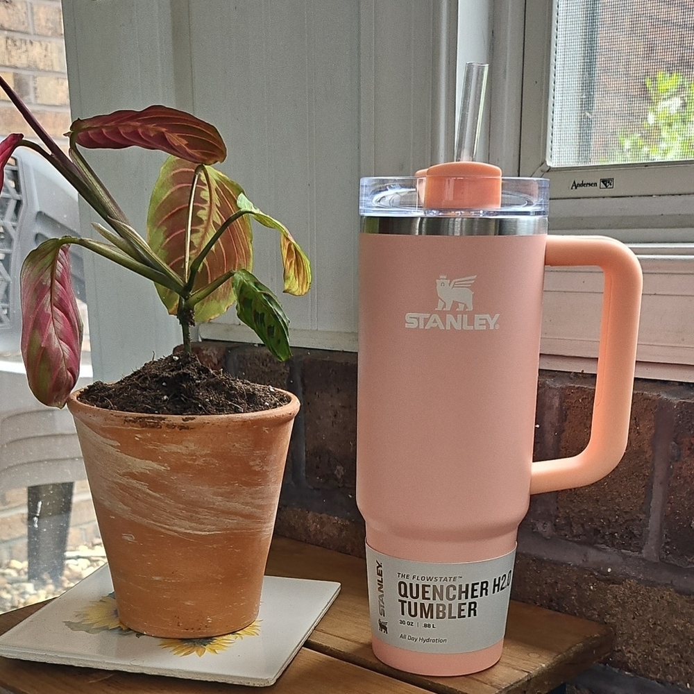 Stanley Quencher H2.0 Tumbler 30 OZ From Target